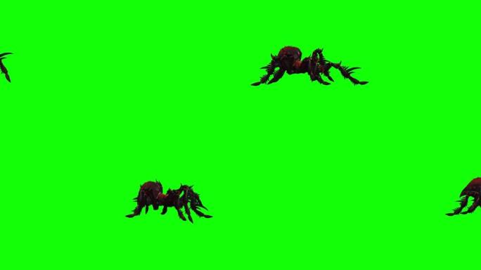 蜘蛛狼蛛行走动画，绿色屏幕上孤立的万圣节概念，色键背景