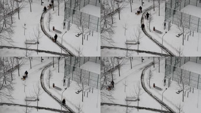 一个带着狗的男人和一个带着袋子的女人沿着积雪的道路行走。工人在城市院子里用吹雪机除雪