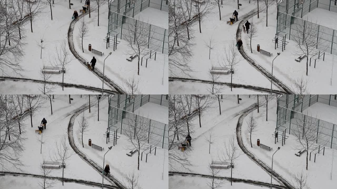 一个带着狗的男人和一个带着袋子的女人沿着积雪的道路行走。工人在城市院子里用吹雪机除雪
