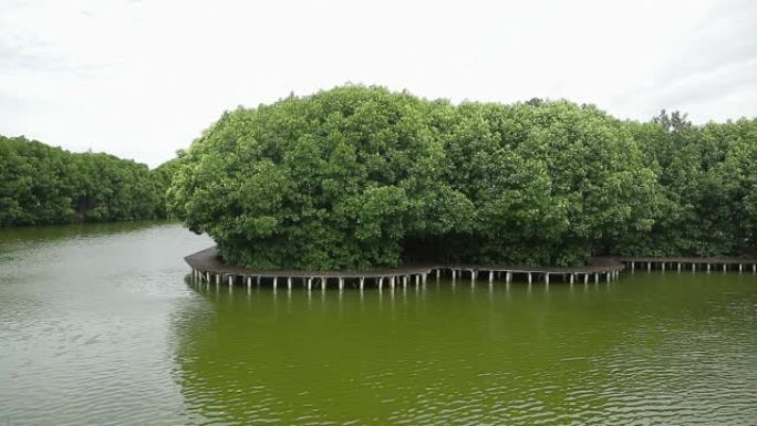 一条快速的绿色河流的航拍视频，沿着海岸线有一个木制码头和树木