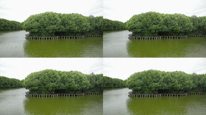 一条快速的绿色河流的航拍视频，沿着海岸线有一个木制码头和树木