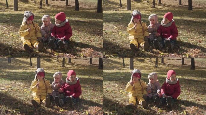 小开朗的学龄前儿童女孩温暖的红帽子吃舔棒上的大糖果。孩子们在外面吃糖果野餐。秋天公园篮子里的黄色落叶