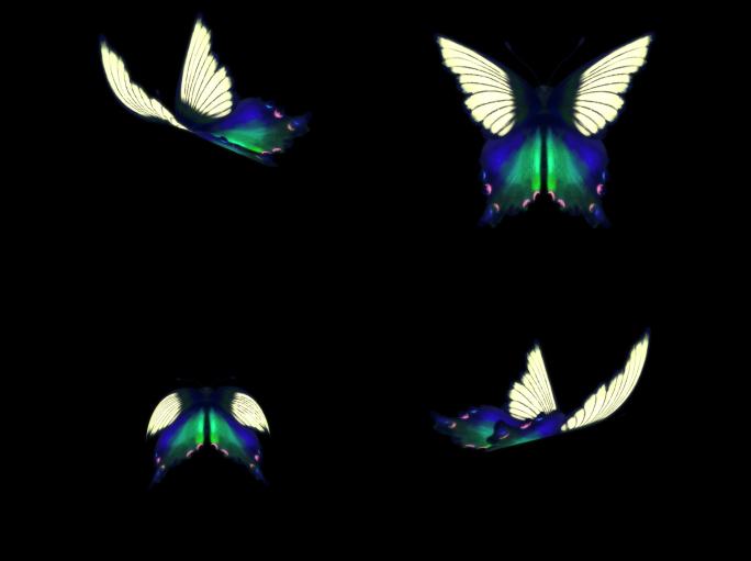 唯美蝴蝶，蝴蝶视频素材透明通道2