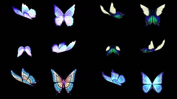 唯美蝴蝶，蝴蝶视频素材透明通道2
