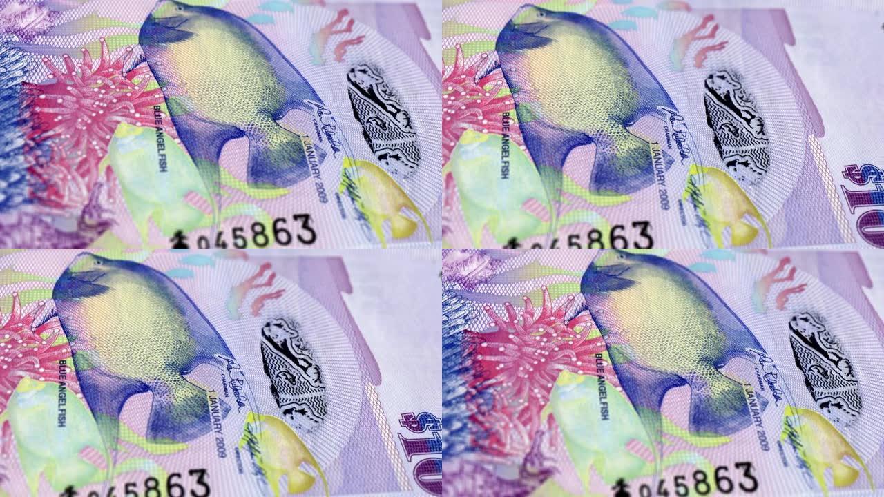 百慕大百慕大元10纸币，十百慕大元，百慕大元的特写和宏观视图，跟踪和多莉拍摄10百慕大元纸币观察和储