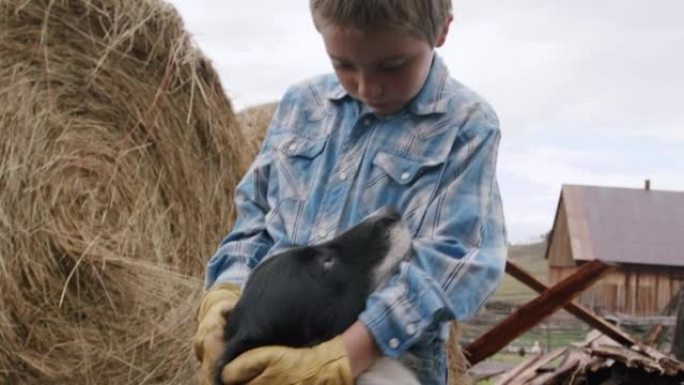在美国科罗拉多州的一个小镇家庭牧场上，一个可爱的男性高加索牧场主孩子穿着纽扣衬衫和工作手套站在一大圈