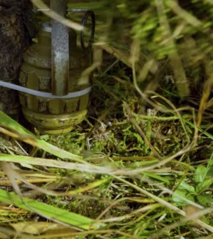 一名士兵安装带有绊网的手榴弹的特写垂直视频。敌人在森林里设下的陷阱。