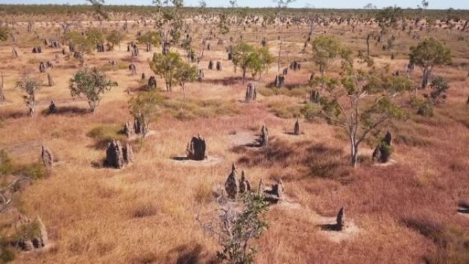 在4K的澳大利亚利奇菲尔德国家公园，到处都是白蚁丘的旱地