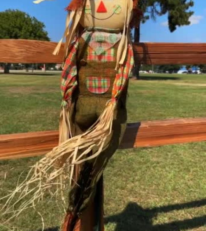 晴天在绿色田野的木栅栏上垂直拍摄稻草人