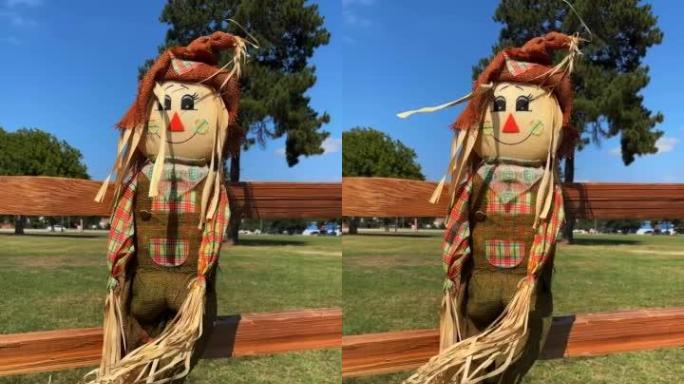 晴天在绿色田野的木栅栏上垂直拍摄稻草人