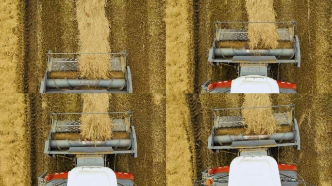 从上面看。稻田里的联合收割机。收割水稻。割台和附件的特写。收割机在田间移动，捡起割草的大米