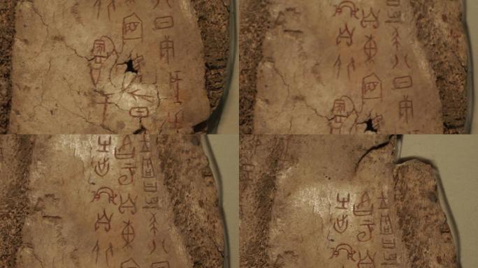 中国古代甲骨文