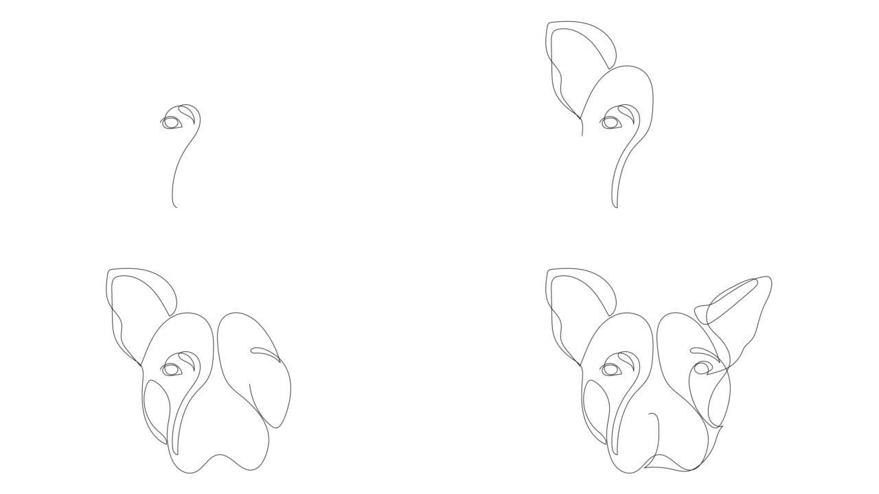 单线绘图的自画动画Pitbull。比特犬狗头手工绘制，白色背景上的连续线。野生动物、宠物、兽医的概念