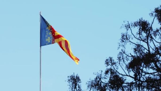 美丽的瓦伦西亚市旗帜，在一棵树附近的晴朗天空中