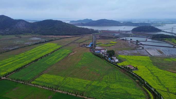 [4K]航拍素材.安庆水墨溪安春色