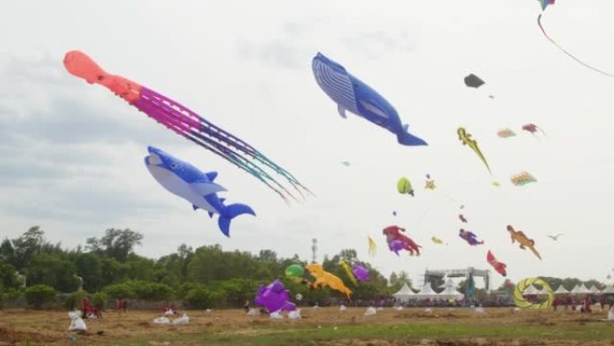 各种形状和大小的风筝在蓝天上飞翔的壮观景色
