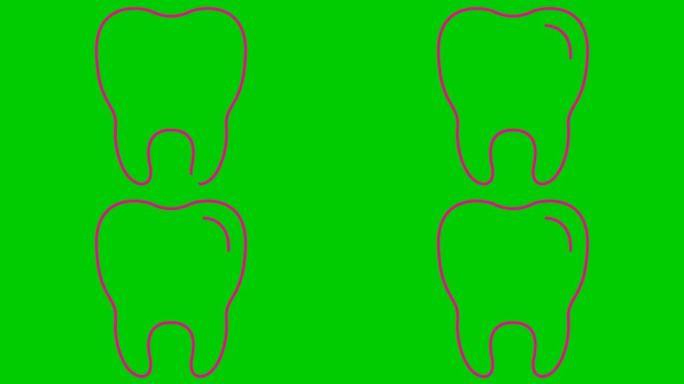 动画牙齿符号是逐渐绘制的。透明牙齿的线性粉色图标。牙科概念。循环视频。矢量插图孤立在绿色背景上。