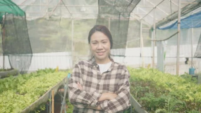 日落时分，年轻女子在有机农场中检查绿色生菜的肖像