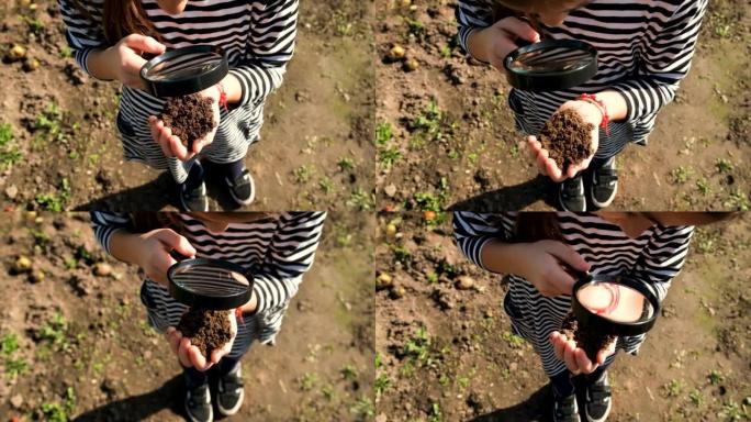 孩子用放大镜检查土壤。选择性聚焦。孩子。