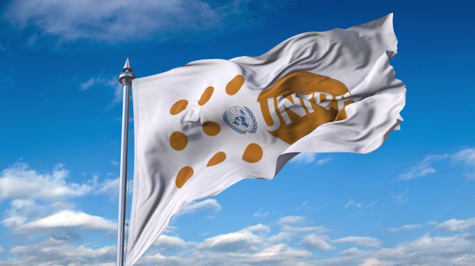 联合国人口基金会旗帜_1