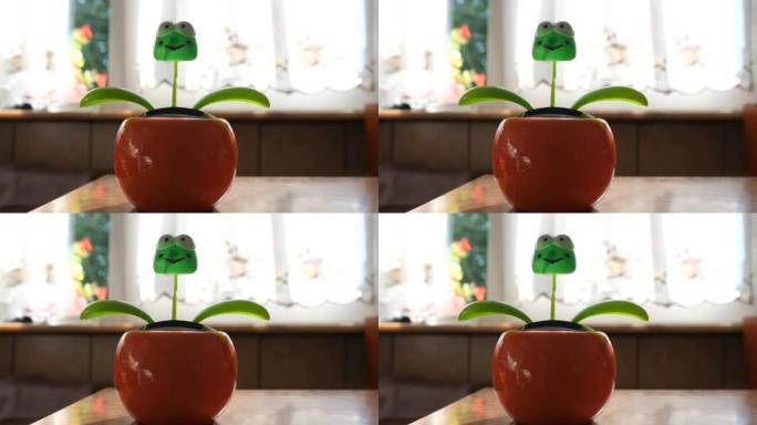 桌子上的太阳跳舞花青蛙玩具的特写镜头