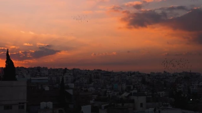安曼约旦景观城市日落红色天空4K