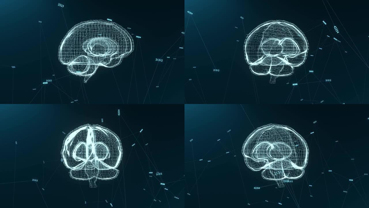 人脑全息图。黑色背景上人体器官的透明3D模型。医药技术概念。循环。神经元。