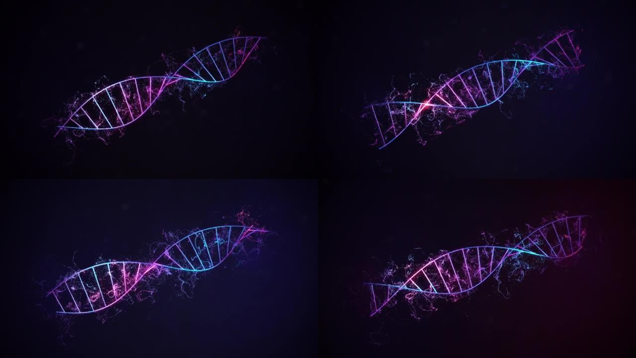 全DNA旋转，小分子扩散。