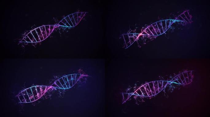 全DNA旋转，小分子扩散。