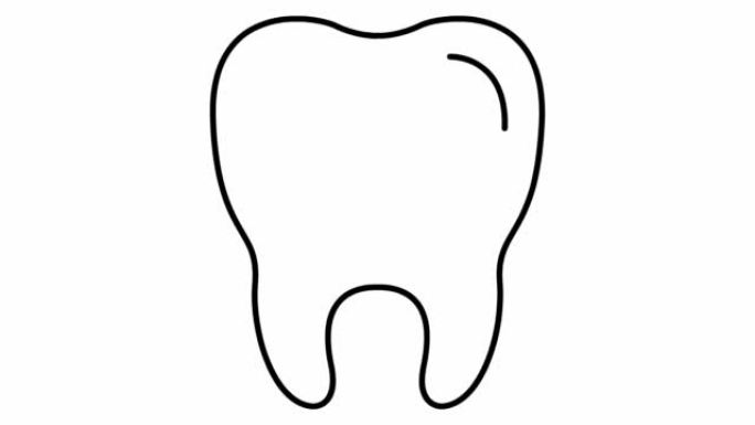动画牙齿符号是逐渐绘制的。透明牙齿的线性黑色图标。牙科概念。循环视频。矢量插图孤立在白色背景上。