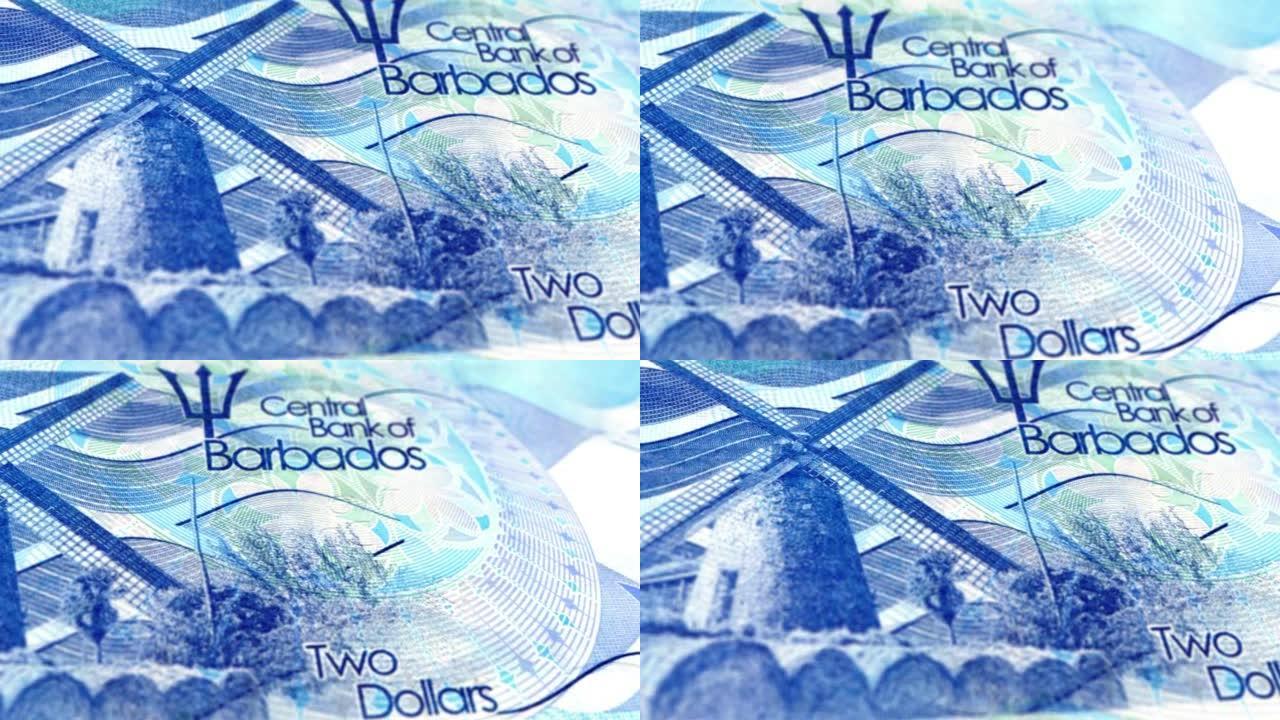 巴巴多斯美元纸币，两个巴巴多斯美元，巴巴多斯美元的特写和宏观视图，跟踪和多利镜头2巴巴多斯美元纸币观