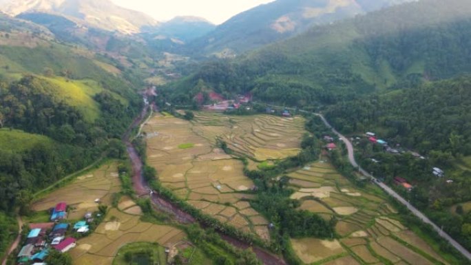 空中看水稻种植和河流的山区稻田梯田