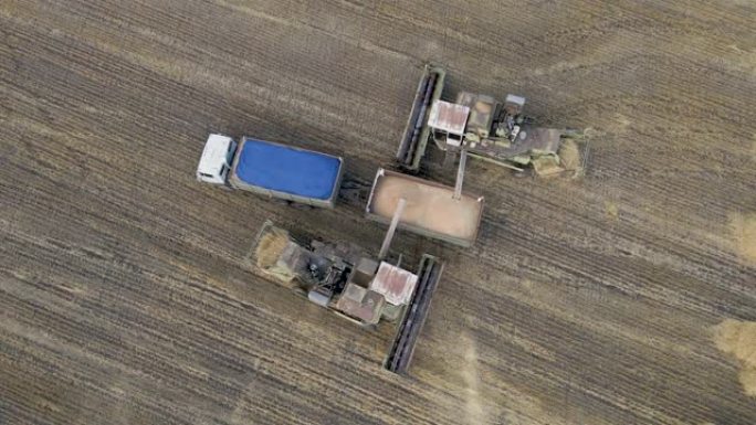 收割机将谷物倒入田间卡车。机器浇灌刚刚收获的小麦。农业拖拉机在日落时收获麦田。农业综合企业的生产过程