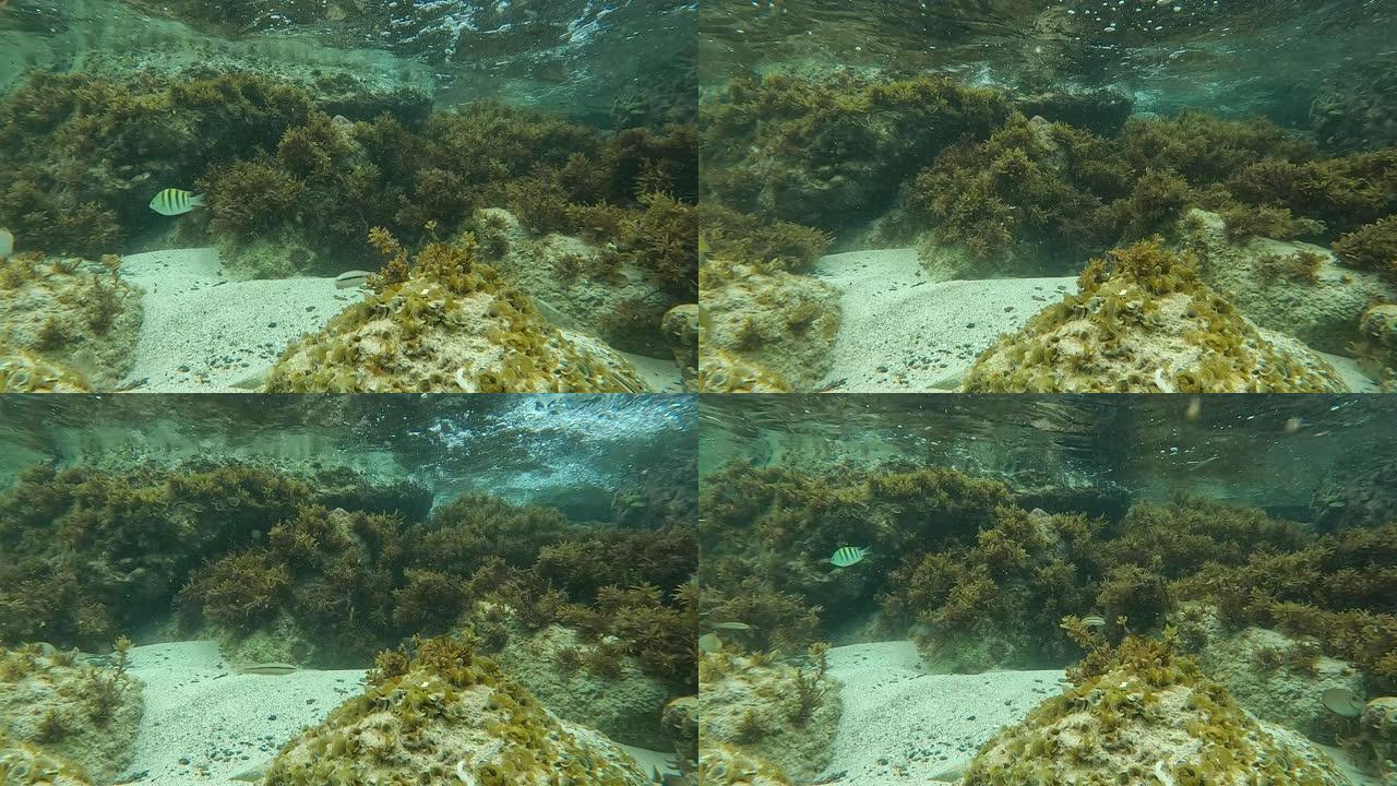 美属维尔京群岛圣约翰珊瑚礁天线。