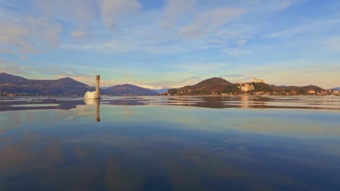 优雅优雅的白天鹅在意大利马焦雷湖的镜面上游泳。低角度视图