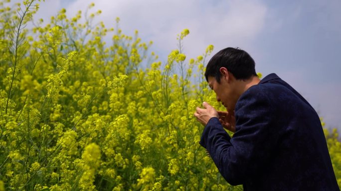 男孩 抚摸油菜花闻油菜花特写