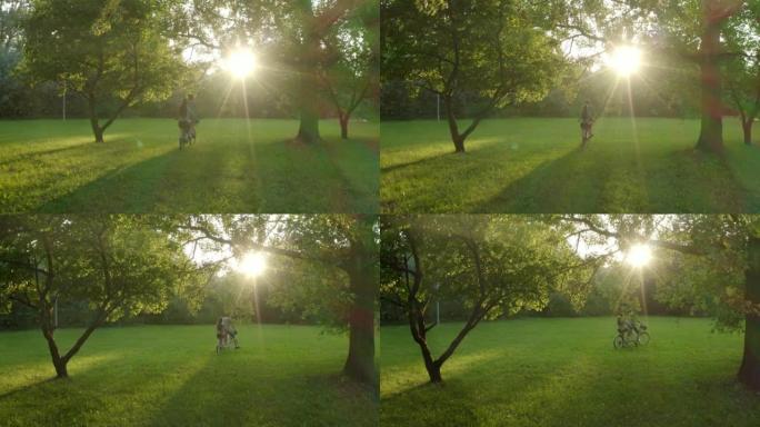 一对夫妇骑着双人自行车在日落时分穿过树林之间的公园