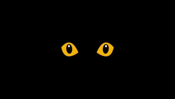 黑暗中猫的黄色眼睛，平坦的4k动画。