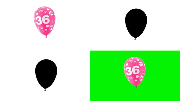 数字36的气球动画。循环动画。带有绿色屏幕和阿尔法哑光通道。