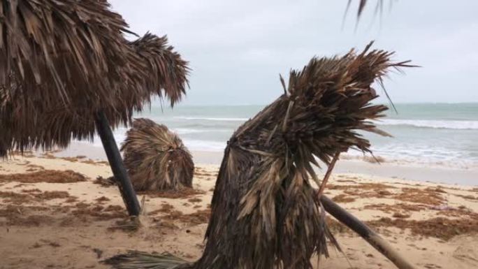 暴风雨过后的热带海滩。在大风天气中，棕榈叶制成的落伞会冲向海岸海浪。澳门台风过后的海滨