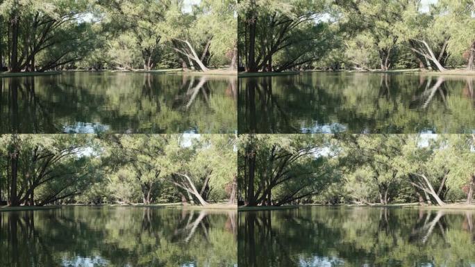美丽的秋季森林公园景观，阳光普照的树木在湖中反射，循环4k慢动作镜头。