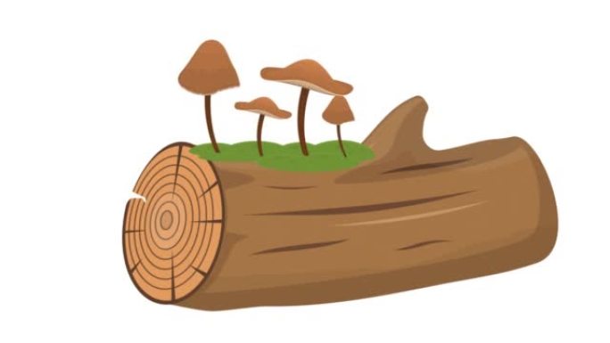 蜜环菌。蘑菇在原木上生长的动画。卡通