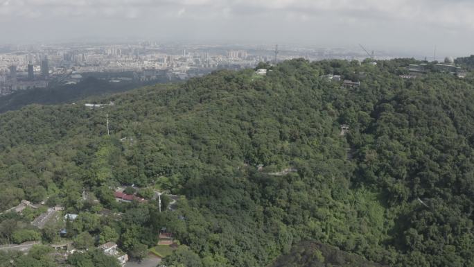 广东省广州白云山航拍茂盛树林森林