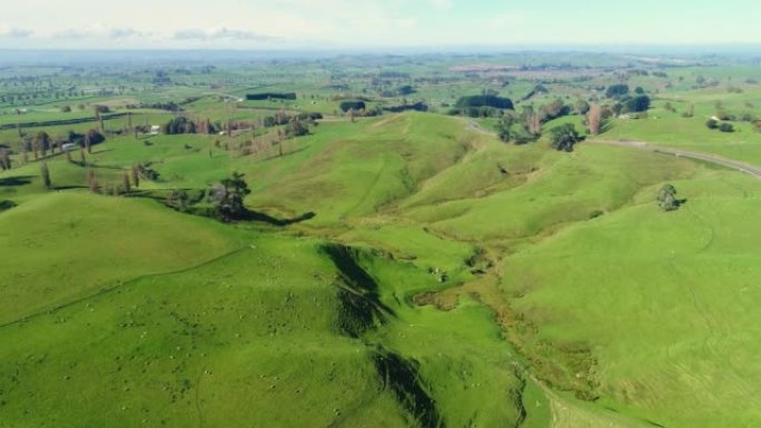 新西兰，怀卡托: 鸟瞰北岛，风景如画的郁郁葱葱的绿色山丘
