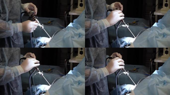 外科医生在麻醉下对动物进行关节镜检查。兽医在关节腔内安装摄像机，以检查关节表面。动物关节镜检查的概念