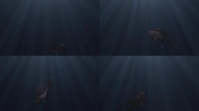 一只抽象孤独美丽的鱼在水下游泳的特写镜头。设计。海洋中的现实海洋动物，阳光透过水面照射。