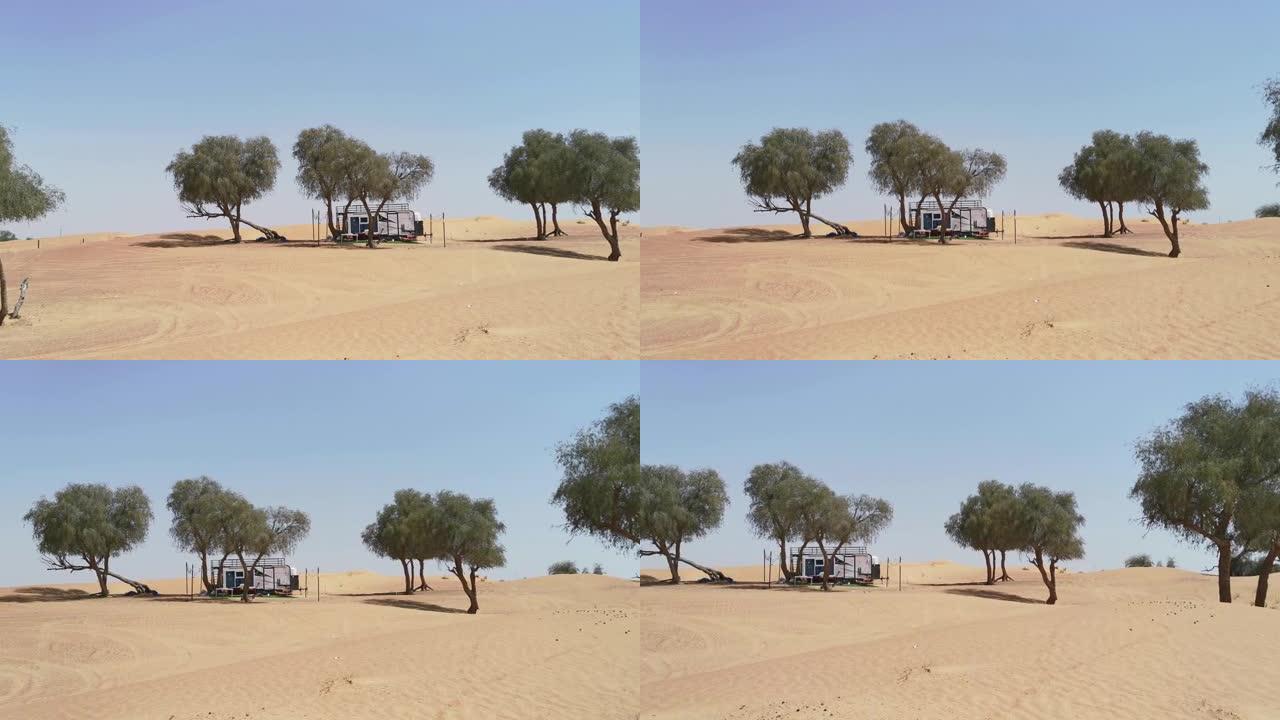 阿联酋的树下露营沙漠