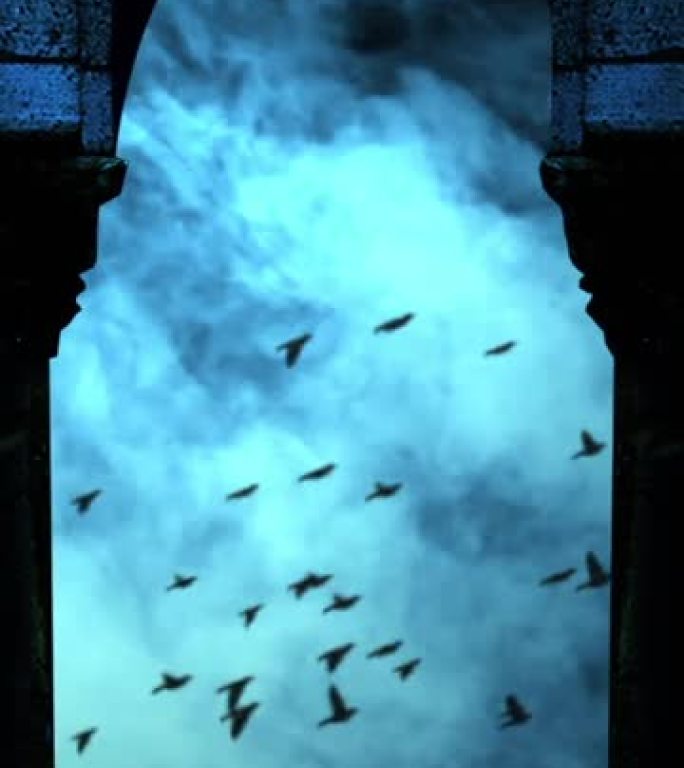 垂直视频-深蓝色夜空上的鸟群穿过云层