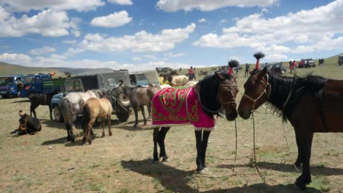 西蒙古传统那达慕节上的赛马