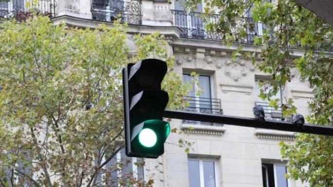 Pigeons sitting on a traffic light in a city stree